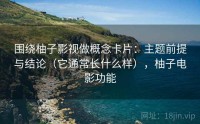 围绕柚子影视做概念卡片：主题前提与结论（它通常长什么样），柚子电影功能